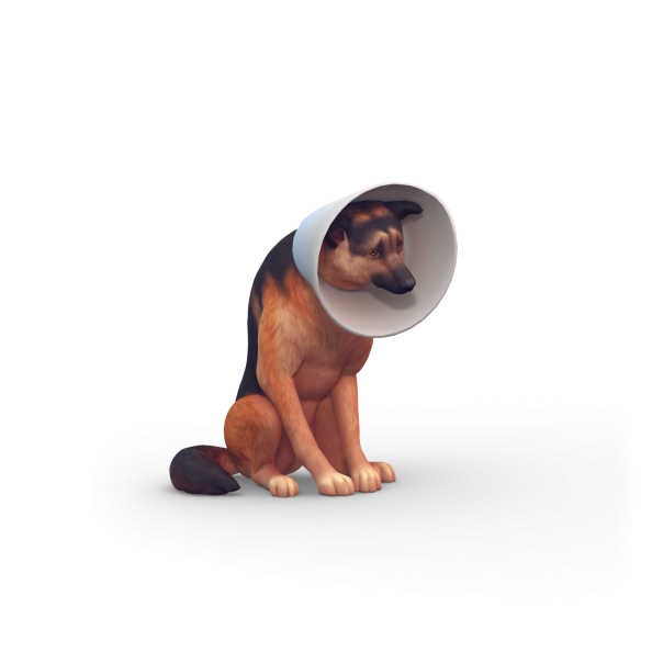 The Sims 4 Cats & Dogs Key Art Brave Cone Dog.png