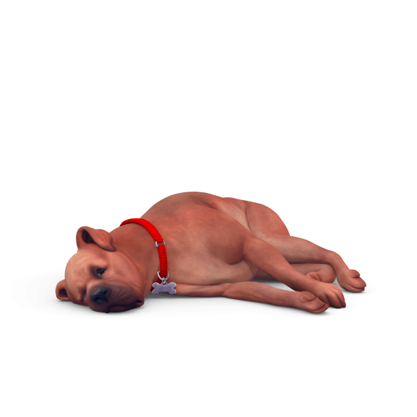 The Sims 4 Cats & Dogs Key Art 13.png
