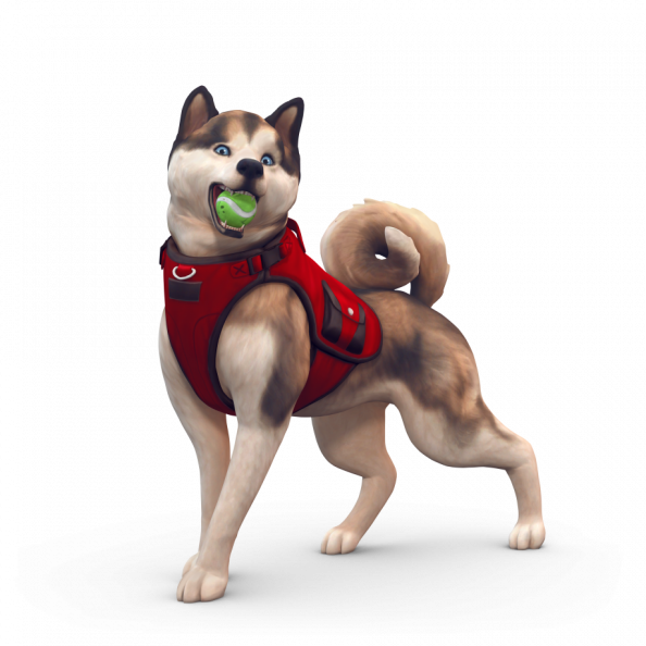 The Sims 4 Cats & Dogs Key Art 11.png