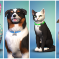 The Sims 4 Cats & Dogs Render