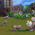 The Sims 4 Cats & Dogs Screen 9