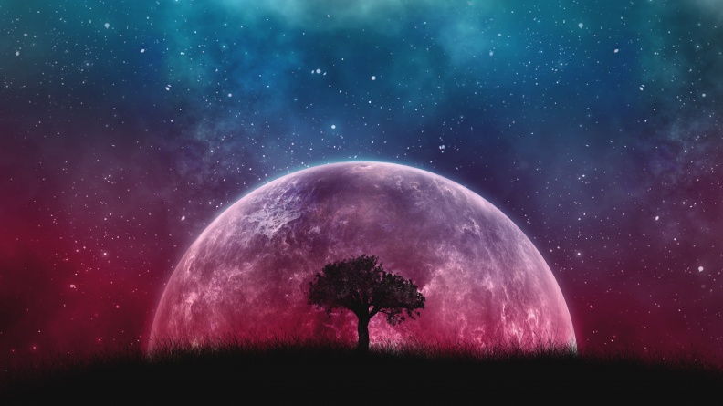 lone-tree-planet-surreal-night-silhouette-starry-sky-5k-5760x3240-920.jpg