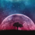 lone-tree-planet-surreal-night-silhouette-starry-sky-5k-5760x3240-920
