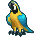 BirdParrot.png